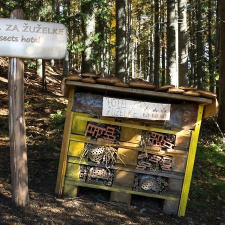 Green Village Rusevec Hočko Pohorje Exteriör bild